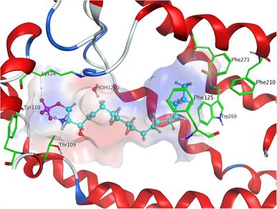 In silico Docking Studies of Fingolimod and S1P1 Agonists